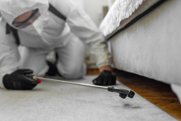 Professional Termite Control technician working in West Park, NJ