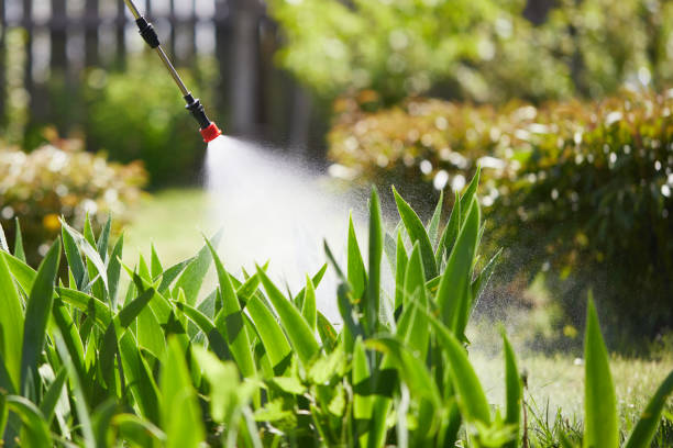 24/7 Emergency Termite Control experts in West Park, NJ